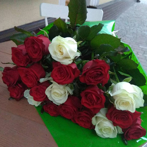букет роз 21 красная и белая в Мариуполе фото