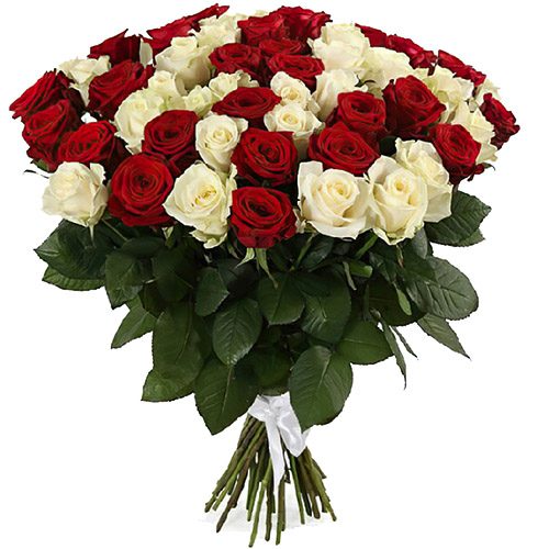 букет 51 роза красная и белая
