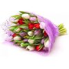 Фото товара 21 тюльпан "Маковый цвет"