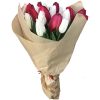 Фото товара 21 тюльпан "Маковый цвет"